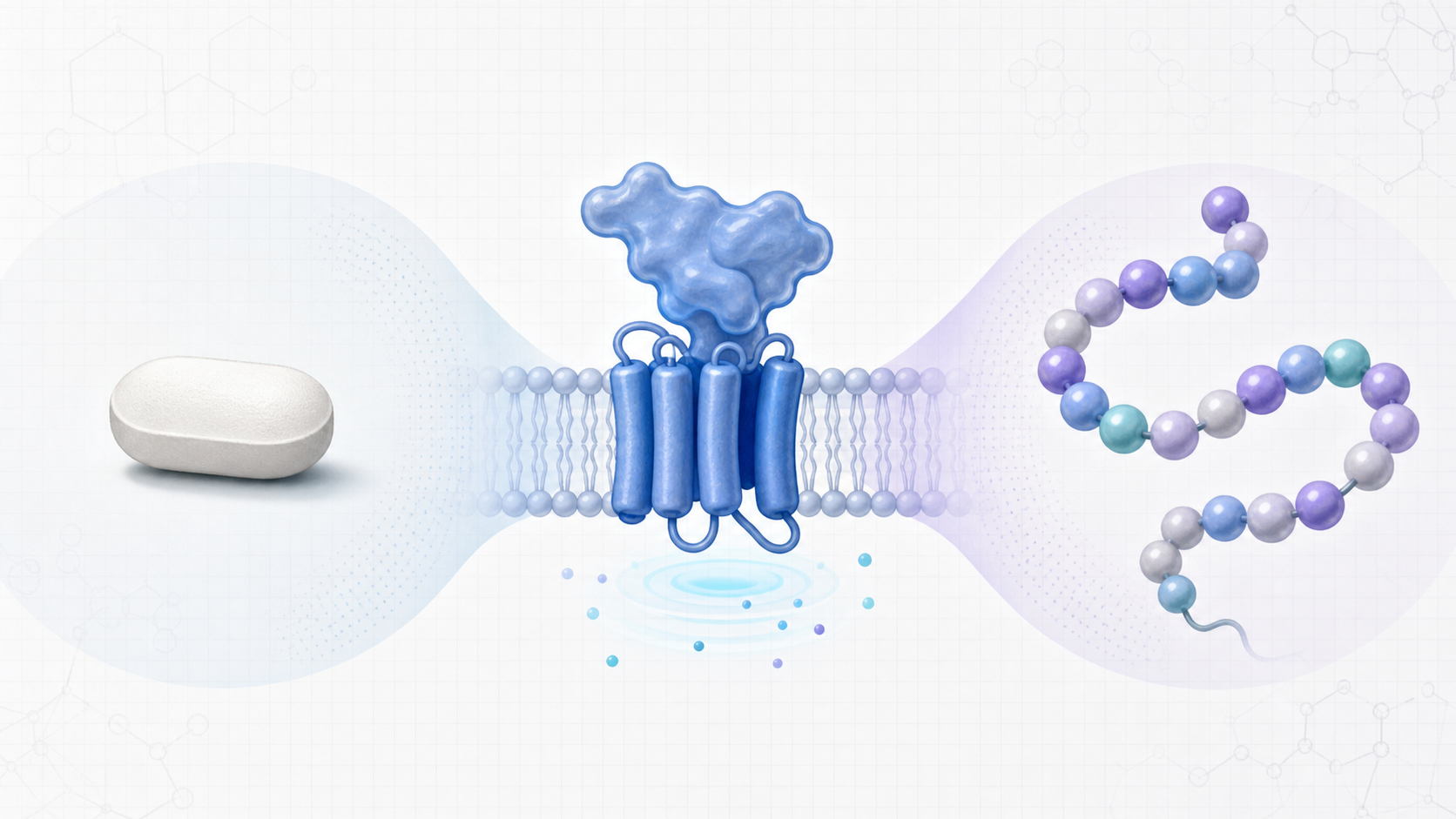 Educational illustration contrasting an oral small molecule GLP-1 agonist with a peptide chain
