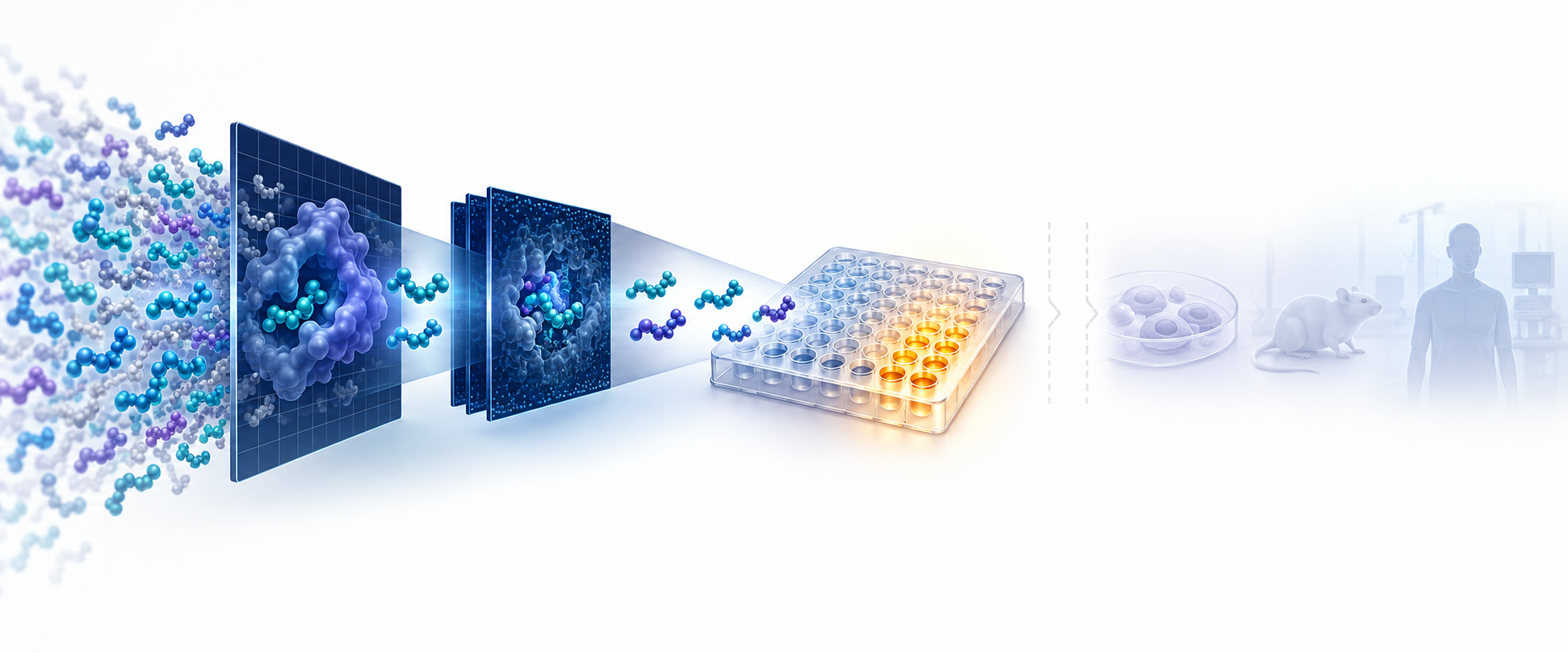 Evidence funnel showing many computational candidates narrowing to a purified-enzyme assay, with cell, animal, and human stages still untested
