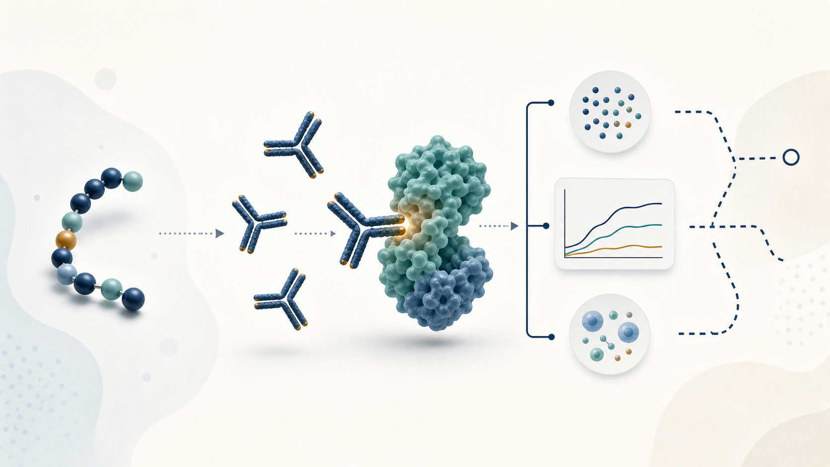 Conceptual illustration separating peptide-vaccine antibody generation from the still-unanswered question of clinical benefit