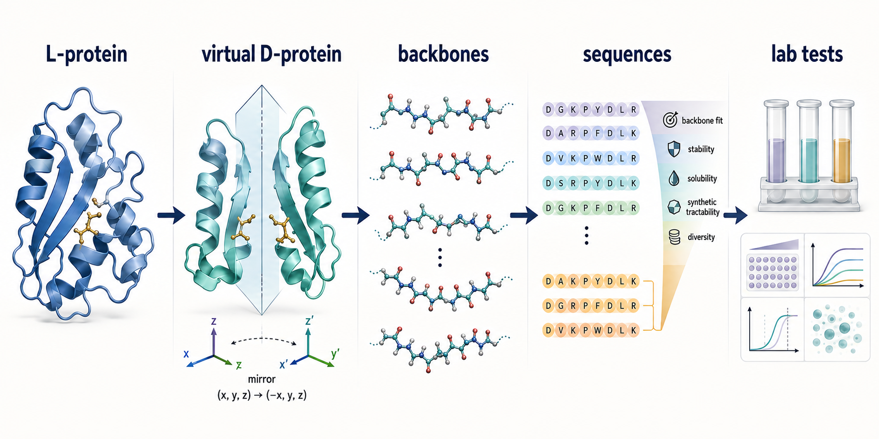 Mirror-Peptidizer workflow from a native L-protein through a virtual D-protein, candidate backbones and sequences, then laboratory testing