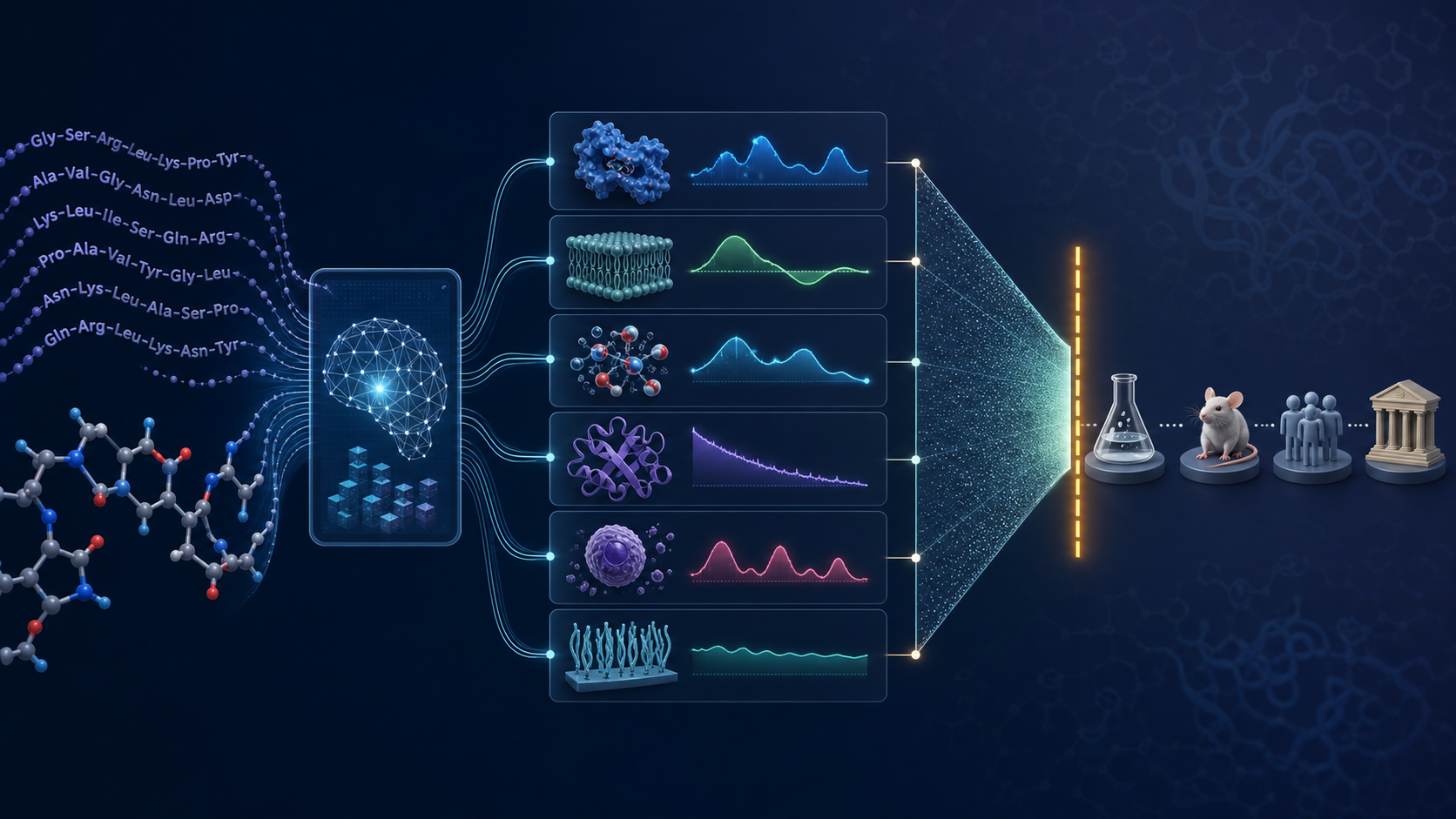 AI peptide property prediction narrows candidates before a hard boundary separating computation from laboratory, animal, clinical, and regulatory evidence