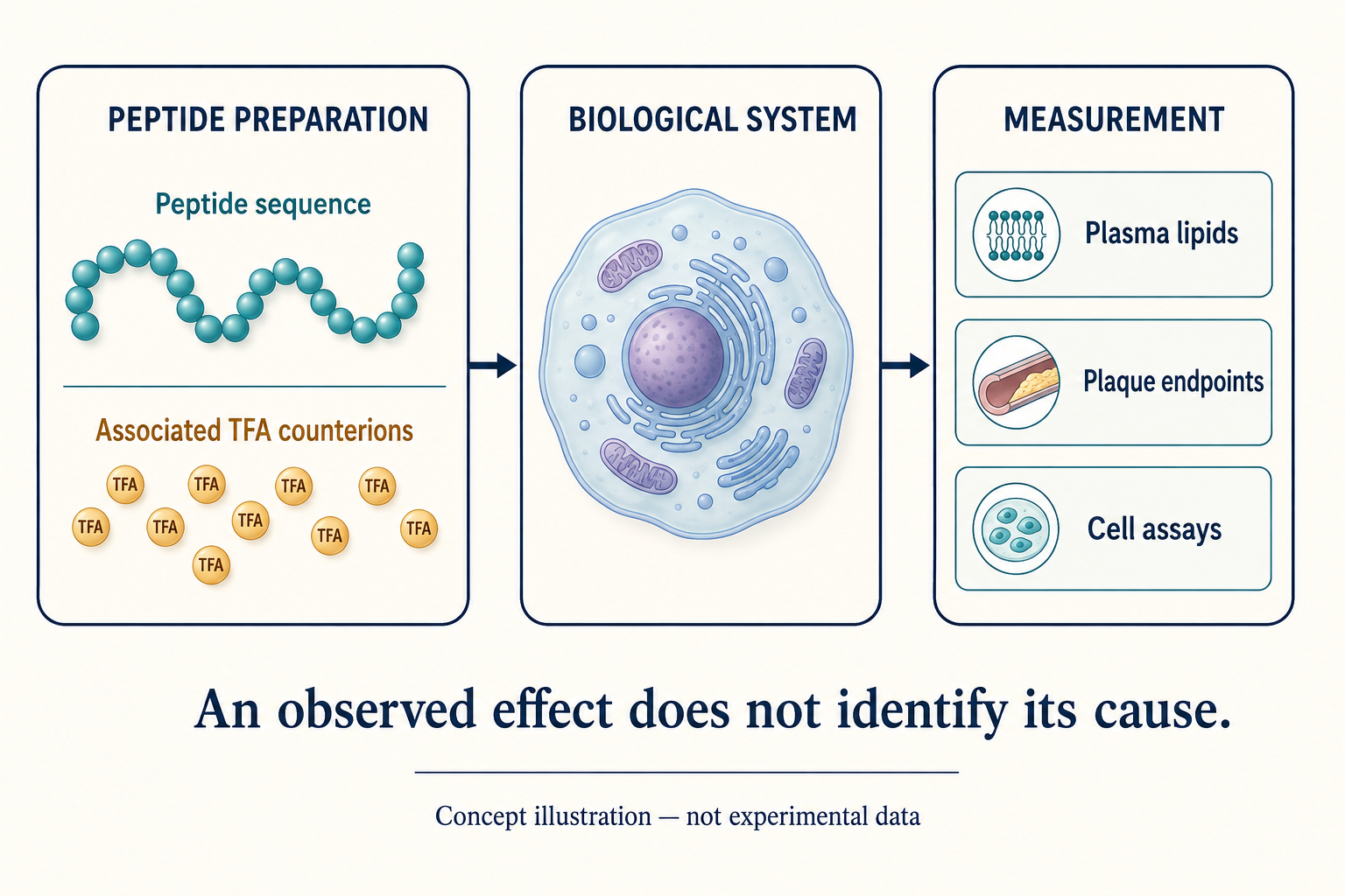 Concept diagram separating a peptide sequence and associated TFA counterions from a biological system and three types of measurement
